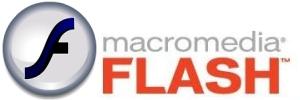 Flash logo