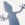 Salamander